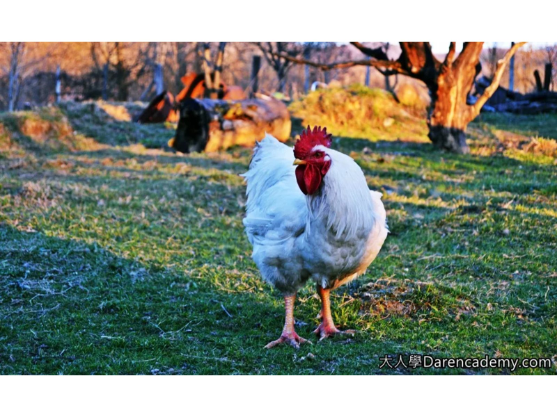 （Photo by Ianos on Pexel）